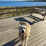 Prázdninový dům Bayside Connemara *