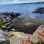 Prázdninový dům Bayside Connemara Canower