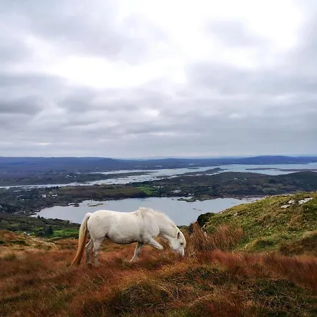 Bayside Connemara