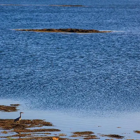Bayside Connemara * Canower