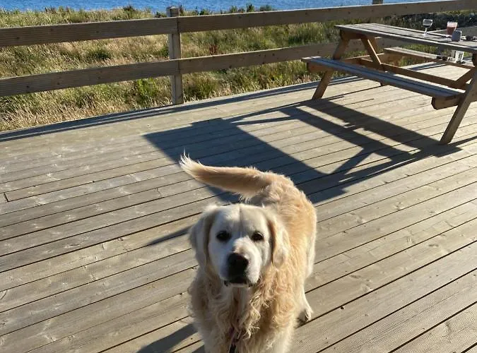 度假居 Bayside Connemara *