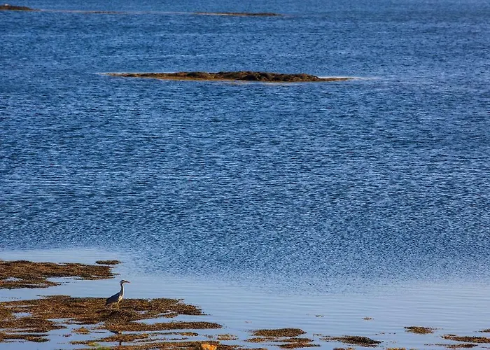 Bayside Connemara * Canower